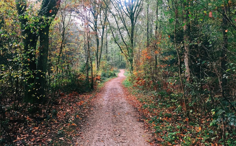 Walk With Me: Bonn,&nbsp;Germany